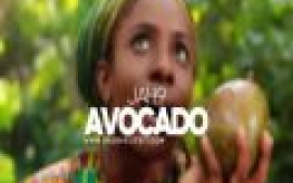 Jah9 - Avocado