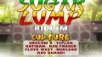 Sugar Lump Riddim 2015 ( Reggae